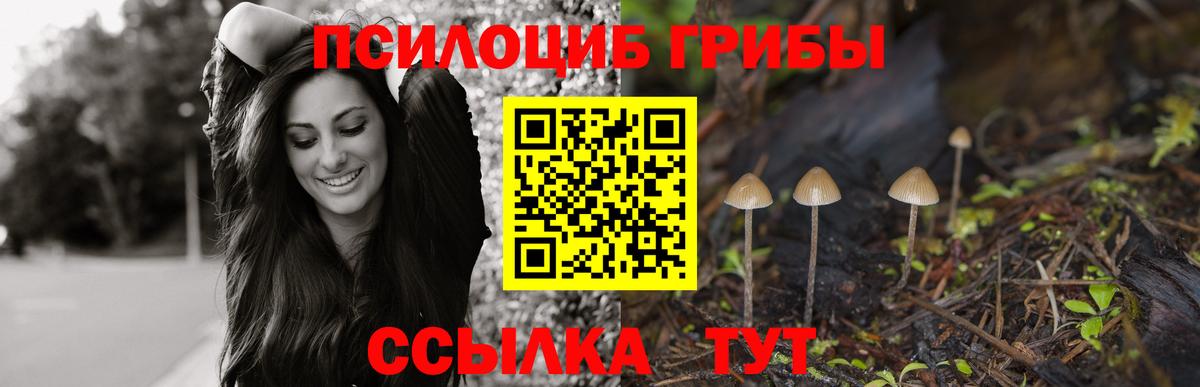 Псилоцибиновые грибы MAGIC MUSHROOMS Анапа