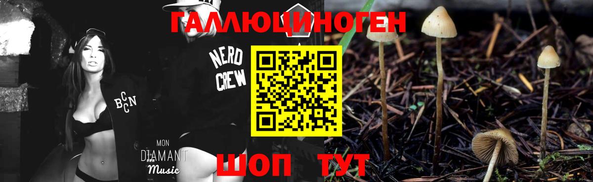 Анапа  Псилоцибиновые грибы Cubensis  Вход с VPN 